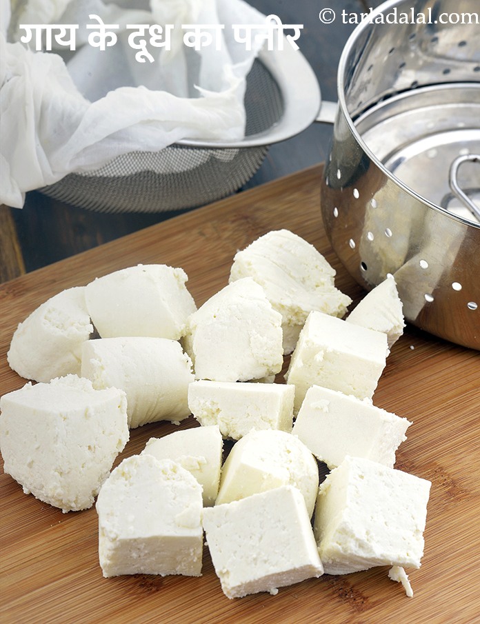 big_how_to_make_paneer_using_cow’s_milk-15127_hindi